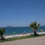 موتلو 2*
