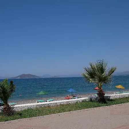 Mutlu 2*